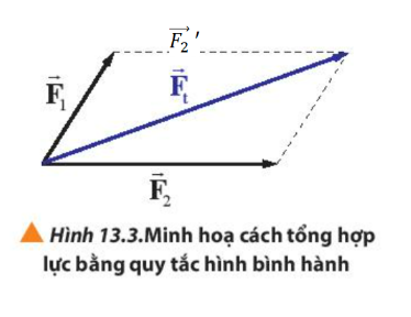 Vectơ tổng hợp Ft là vectơ nối gốc của F1 với ngọn của F2’ hay chính là  F2.