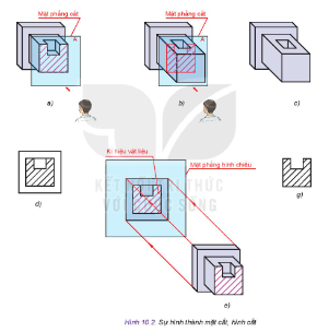 Quan sát Hình 10.2 và sắp xếp trình trự các hình a, b, c, d, e, g theo đúng trình tự hình thành mặt cắt, hình cắt ở trên