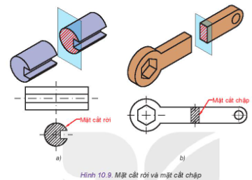 Quan sát Hình 10.9 và thực hiện các nhiệm vụ sau