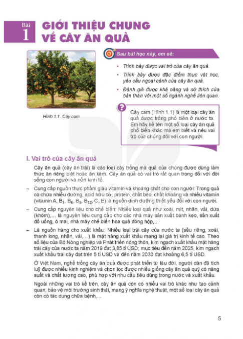 Tải Công nghệ 9 Mô đun trồng cây ăn quả Kết nối tri thức (bản PDF)