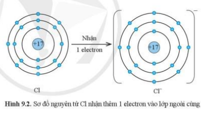 Nguyên tử chlorine có 7 electron ở lớp vơ ngoài cùng, vì vậy khi hình thành liên kết hóa học, chlorine nhận thêm 1 electron để đạt lớp vỏ 8 electron ở lớp ngoài cùng như của khí hiếm Ar. 