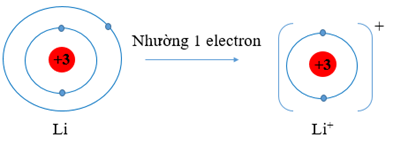 Li (Z = 3), Li có 1 electron lớp vỏ ngoài cùng. Nguyên tử Li có xu hướng nhường đi 1 electron để trở thành ion mang điện tích dương, kí hiệu là Li+