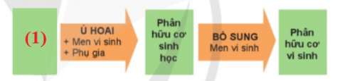 Học sinh tham khảo