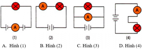 Học sinh tham khảo