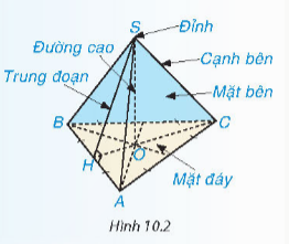  HÌNH CHÓP TAM GIÁC ĐỀU