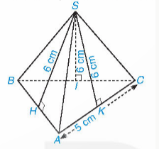 * Diện tích xung quanh của hình chóp tam giác đều. HĐ1