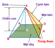 HÌNH CHÓP TỨ GIÁC ĐỀU