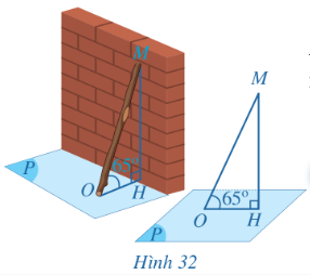 Quan sát Hình 32 và cho biết… 