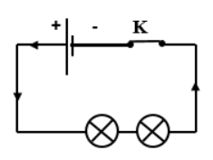 Câu 2: