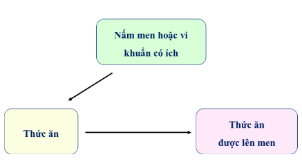 Sơ đồ nguyên lí chế biến thức ăn bằng công nghệ vi sinh vật