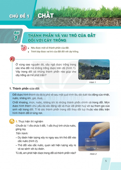 Tải Khoa học 5 Kết nối tri thức (bản PDF)