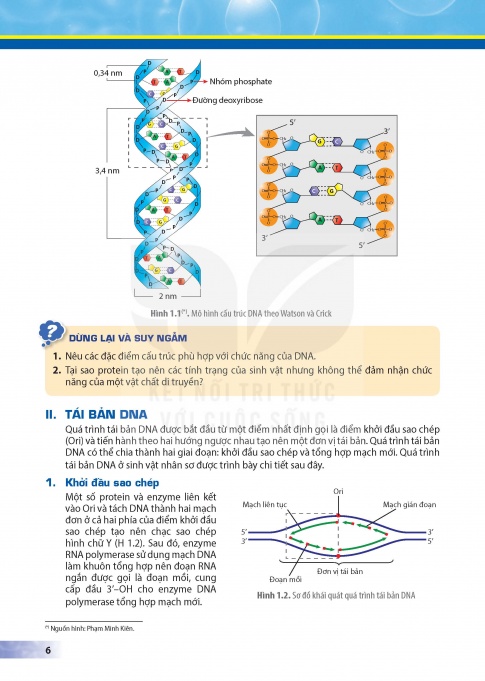 Tải Sinh học 12 Kết nối tri thức (bản PDF)