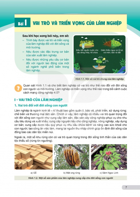Tải công nghệ lâm nghiệp thuỷ sản 12 Kết nối tri thức (bản PDF)