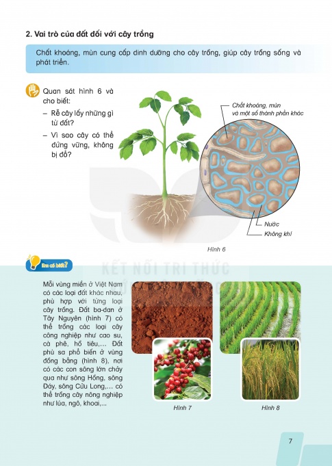 Tải Khoa học 5 Kết nối tri thức (bản PDF)