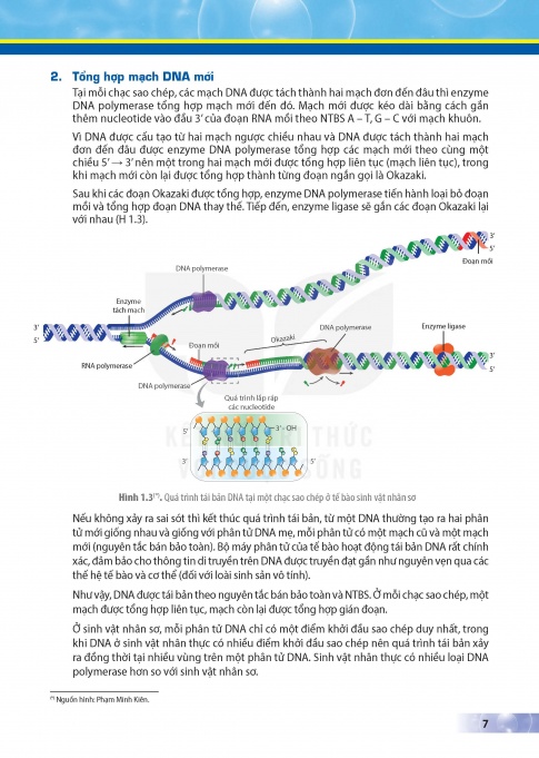 Tải Sinh học 12 Kết nối tri thức (bản PDF)