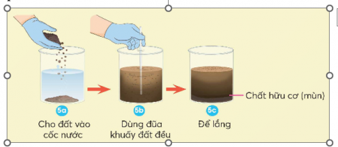 Quan sát hình 5 và mô tả thí nghiệm. Theo em, thí nghiệm này cho biết thành phần nào của đất?