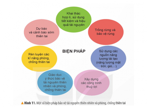 Đọc thông tin, quan sát hình 11 và dựa vào hiểu biết của bản thân, em hãy nêu một số biện pháp bảo vệ tài nguyên thiên nhiên và phòng, chống thiên tai.
