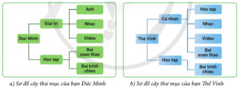 Bạn Đức Minh và bạn Thế Vinh đã lưu trữ các tệp của mình theo hai sơ đồ cây thư mục như ở Hình 1.