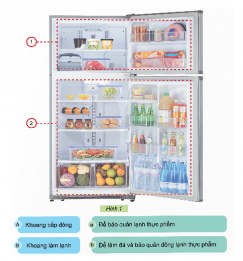 Ghép thẻ mô tả tên khoang và thẻ mô tả vai trò của khoang với vị trí các khoang tương ứng của tủ lạnh trong Hình 1 theo gợi ý dưới đây