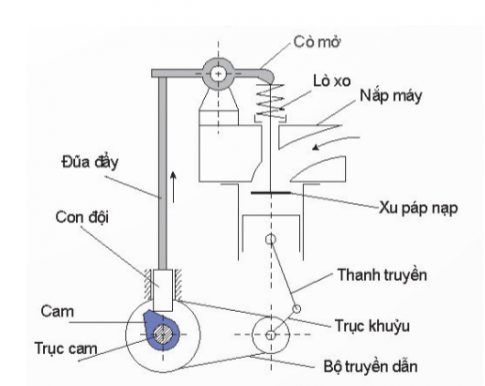 Hình ảnh dưới đây thể hiện sơ đồ cấu tạo của bộ phận nào?