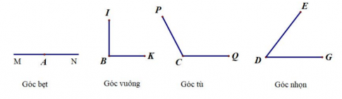 Cho hình ảnh sau, viết các số đo góc thích hợp