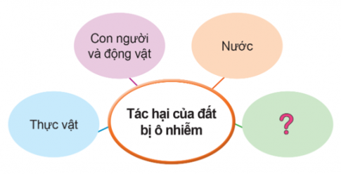 Tìm hiểu tác hại của đất bị ô nhiễm