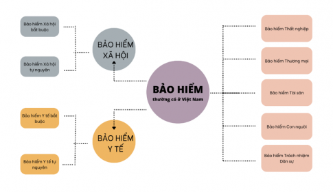 Sơ đồ về các loại hình bảo hiểm thường có ở Việt Nam hiện nay