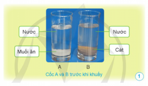 rong cốc A và cốc B ở hình 1 có chứa gì? Sau khi khuấy đều và để lắng, em có nhìn thấy muối ăn hay cát trong mỗi cốc không? Vì sao?