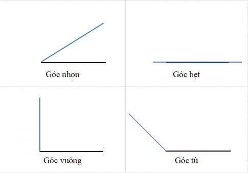 Câu 2: