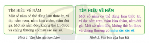 Hai bạn Lâm và Hà trình bày một văn bản có nội dung giống nhau như ở Hình 1 và Hình 2. Em thích cách trình bày của bạn nào hơn? Tại sao?