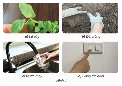 Quan sát một số mẫu như gợi ý ở hình 1. Dự đoán mẫu nào chứa vi khuẩn? Chia sẻ những điều em biết về vi khuẩn có trong những mẫu đó...