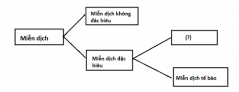 đề thi cuối kì 1 sinh học 11 kntt đề 2