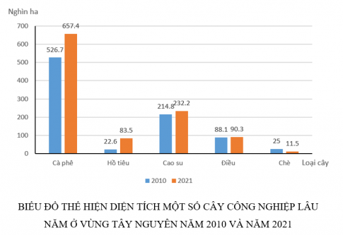 Dựa vào bảng 23.1, hãy vẽ biểu đồ cột nhóm thể hiện diện tích một số cây công nghiệp lâu năm ở vùng Tây Nguyên năm 2010 và năm 2021. Rút ra nhận xét.