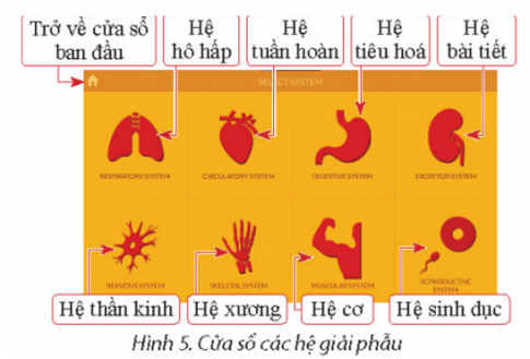 Nếu cách sử dụng phần mềm Anatomy để tìm hiểu các bộ phận trong cơ thể người.