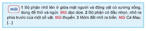    a. Từ “mũi” được trình bày mấy nghĩa? Đó là những nghĩa nào?...