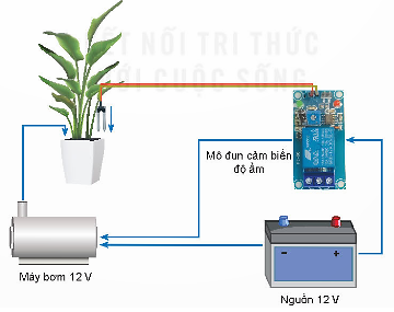 Đề thi cuối kì 2 Công nghệ 8 KNTT: Đề tham khảo số 3