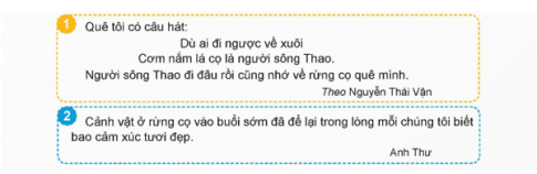  Viết bài văn tả phong cảnh rừng cọ.