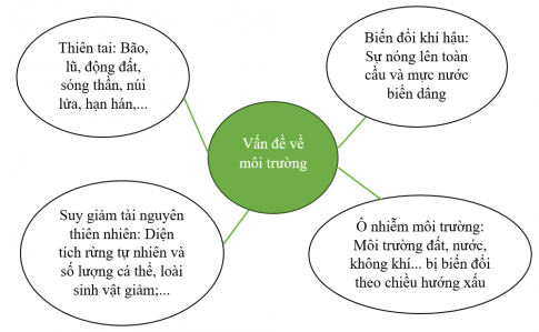 Hãy vẽ sơ đồ về một số vấn đề về môi trường trên thế giới